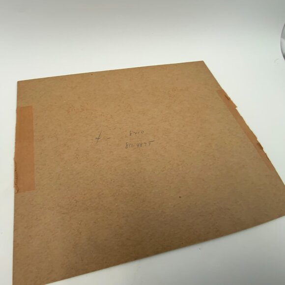 Vintage Print "Snow Geese" From a Painting by John P. Cowan 8" x 10" - Picture 6 of 7